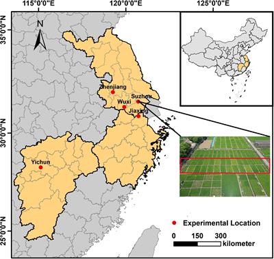 Enhancing Nitrogen Nutrition Index estimation in rice using multi-leaf SPAD values and machine learning approaches